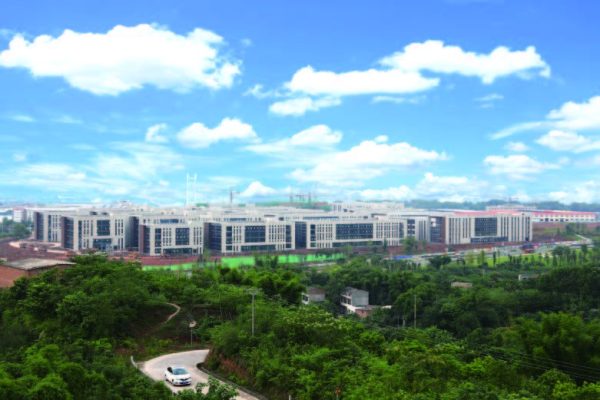 20250808181226416453721