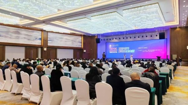 2025112215143419466170