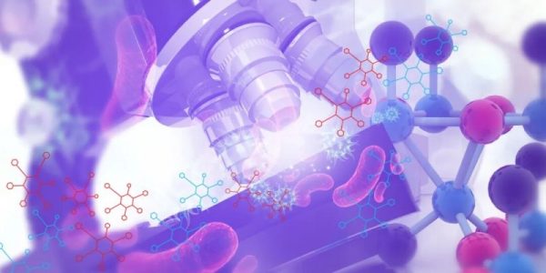 20251122151435782814014