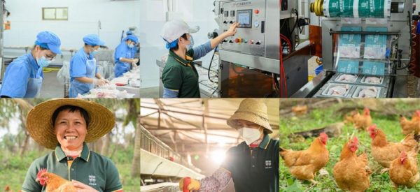 明星圈层的“私藏美食清单”曝光，四季椰林凭头部实力成深圳美食名片